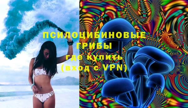 бошки Кулебаки