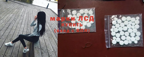 СК Кукмор