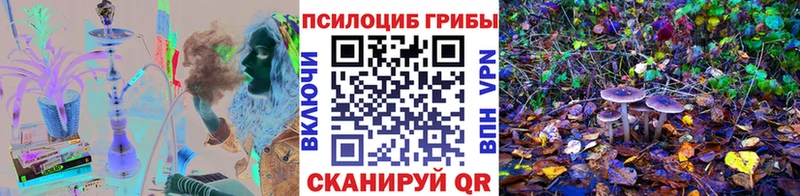 Купить закладки  Ивантеевка  Галлюциногенные грибы мицелий 